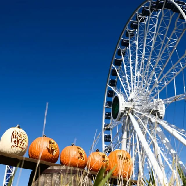 Navy Pier Centennial Wheel: VIP Gondola - Photo 1 of 11